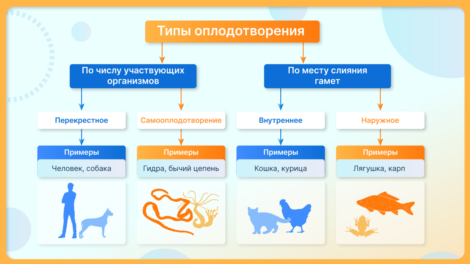 10 Класс - Дополнительные материалы к урокам биологии комплекса 